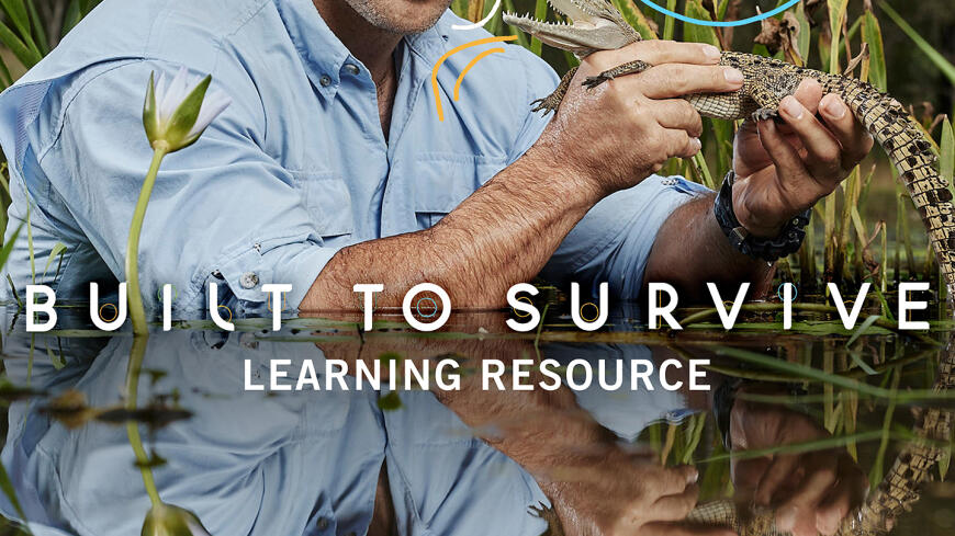 Built To Survive Resource