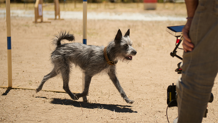 231117 Runt-day21 C2 Mac3967 870x489px 231117 Runt-day21 C2 Mac3967 870x489px