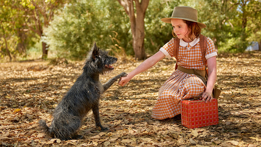 Runt 870x489px-1 Runt 870x489px-1