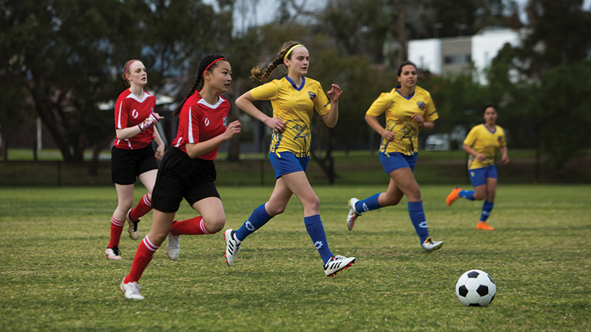 Actfwhatsontv200316mfc Actfwhatsontv200316mfc