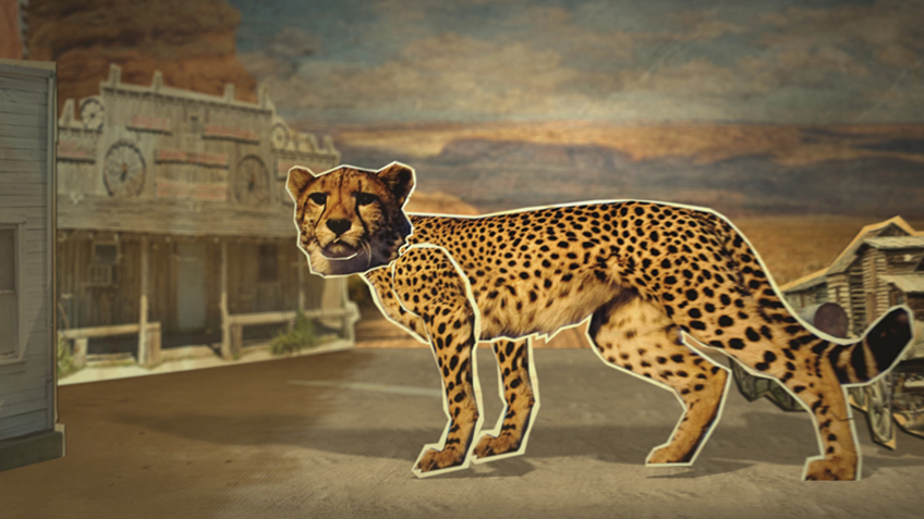 WAC (World Animal Championships)