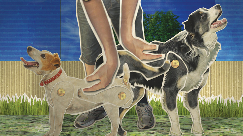 WAC (World Animal Championships)