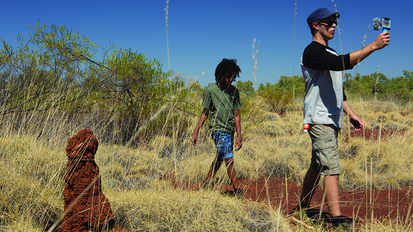 Bushwhacked! - Series 2