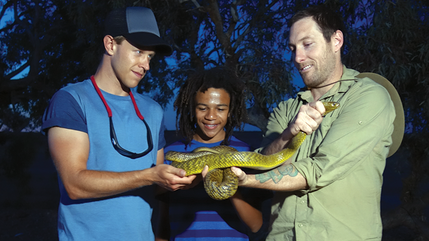 Bushwhacked! - Series 3