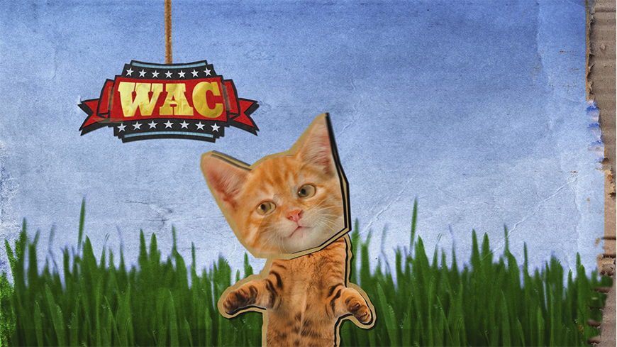 870x489px 0002 Wac Kitten 870x489px 0002 Wac Kitten