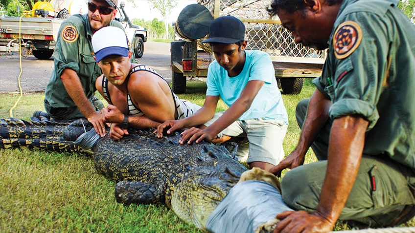 Actfwhatsontv191118bw1 Actfwhatsontv191118bw1