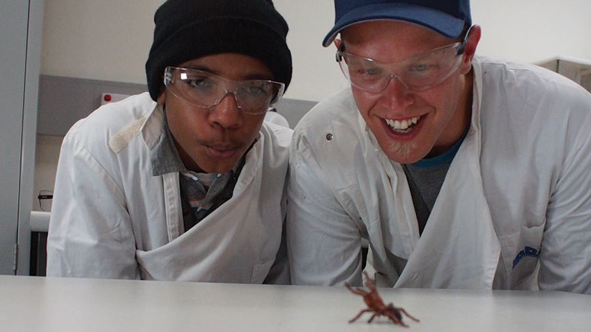 Actfwhatsontv200106bw Actfwhatsontv200106bw