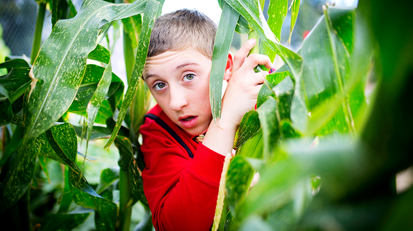 Actfnewsremoteresourcesll Actfnewsremoteresourcesll