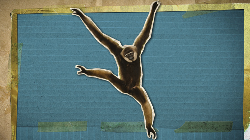 Actfwhatsontv210208wac Actfwhatsontv210208wac