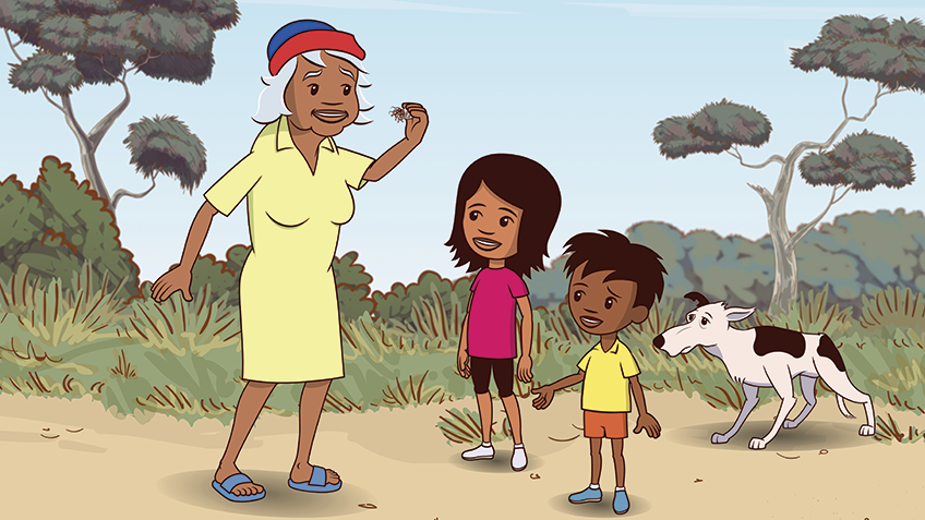 Actfwhatsontv210301ljbc Actfwhatsontv210301ljbc