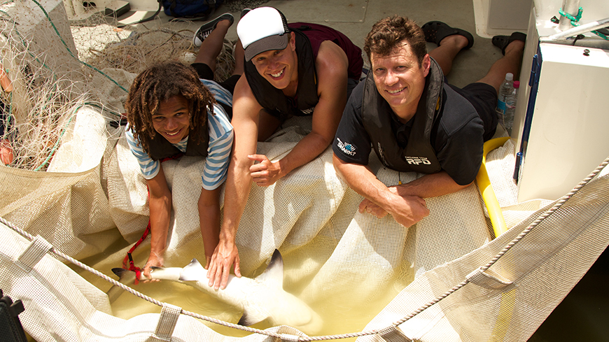 870x489px000304bushwhackeds3ep8thehostswithdrwerryandbabybullshark 870x489px000304bushwhackeds3ep8thehostswithdrwerryandbabybullshark